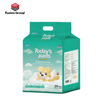 Today's pads - Miếng lót vệ sinh cho chó loại 20 miếng (60x76cm)